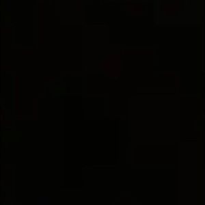 Meet your Posher, Bridget